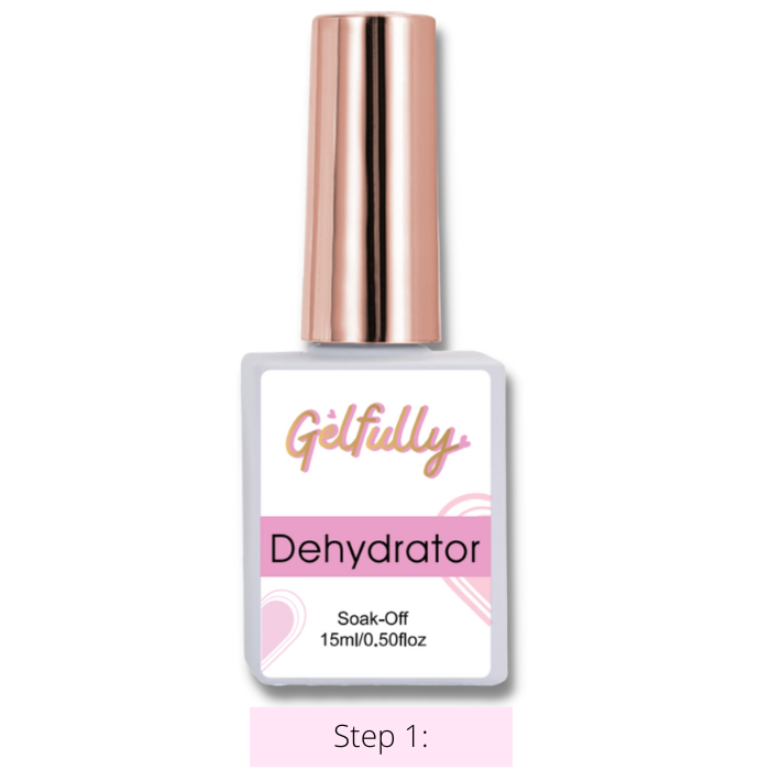 Dehydrator